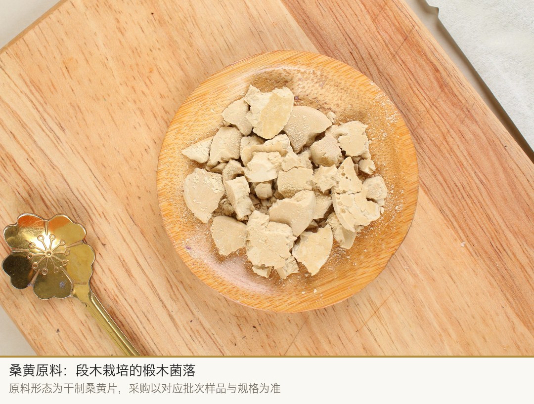桑黄原料：段木栽培的椴木菌落